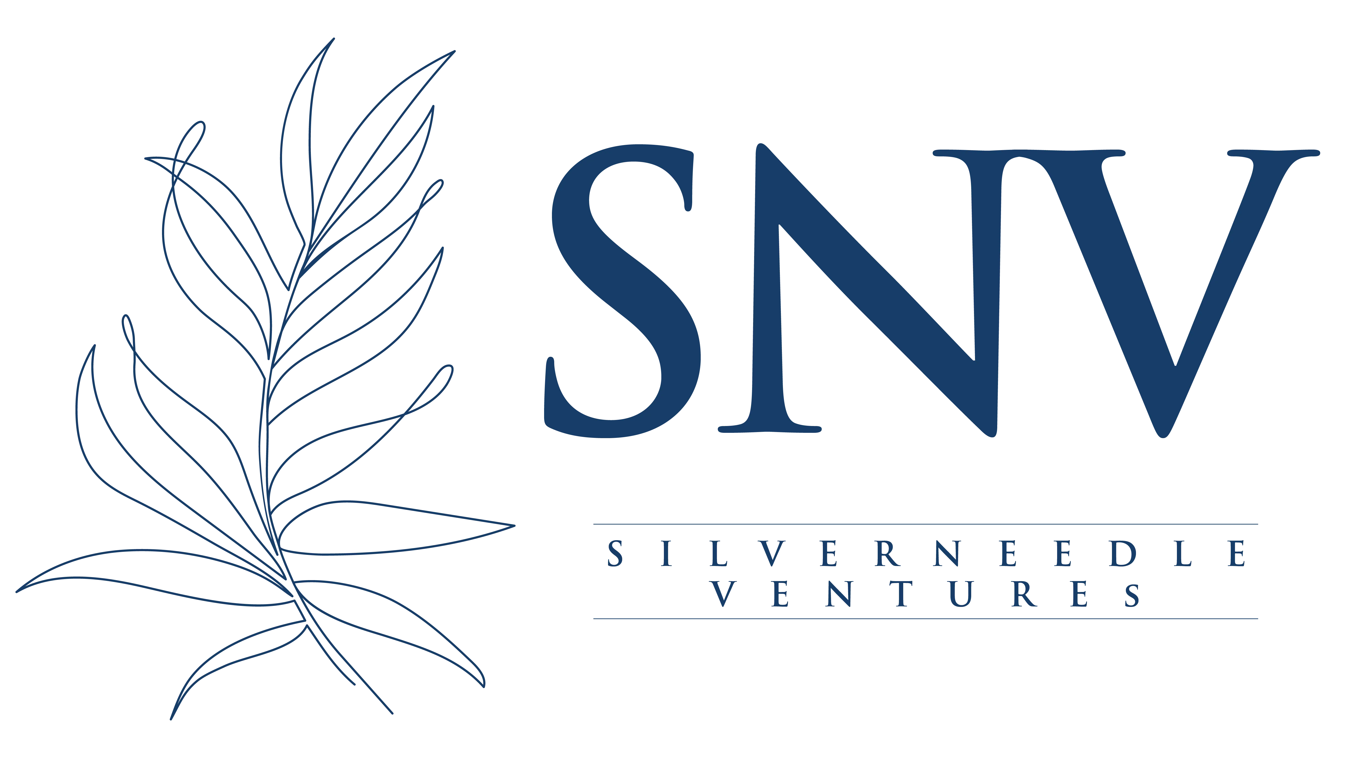 Investment Partner